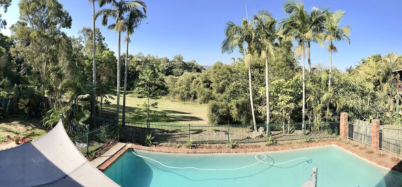 Backyard pool with stone deck and water plants