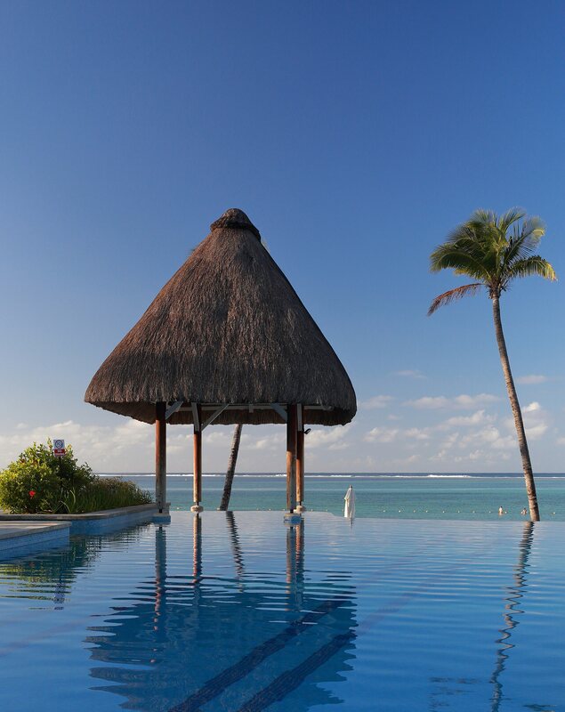 Infinity edge pool with palm tree and ocean view